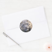 Vishnu Snow Leopard Sticker (Envelop)