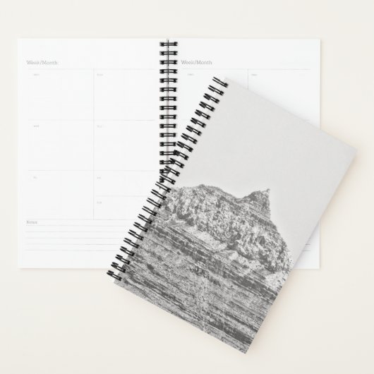 Vishnu Temple Planner (Display)