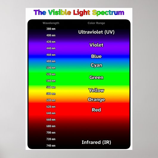 Visible Light Spectrum Poster (Voorkant)