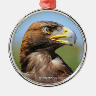 Visie op een mooie jonge Golden Eagle Metalen Ornament