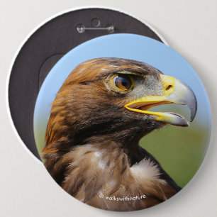 Visie op een mooie jonge Golden Eagle Ronde Button 6,0 Cm