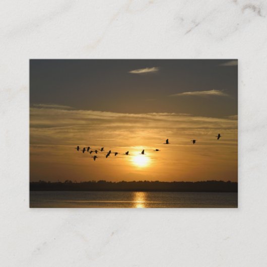 Visies van St. Augustine, Visitekaartje van Florid (Voorkant)