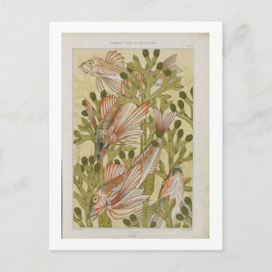  visillustratie briefkaart