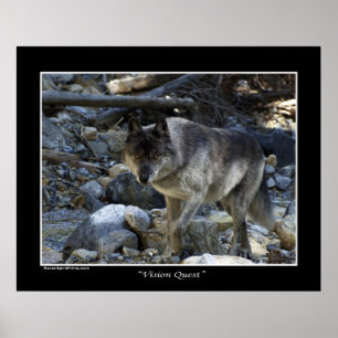 "Vision Quest" Grijze Wolf Wildlife Foto Poster