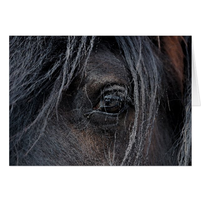 Vision tzigane II (Devant Horizontal)