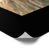 Visionary Canyon Poster (Hoek)