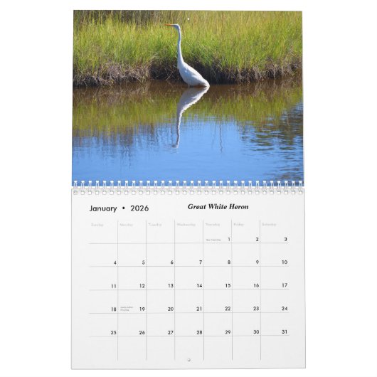 Visions de St. Augustine, Floride Calendrier 2025 (Jan 2026)