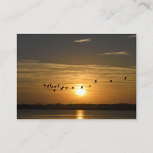 Visions de St Augustine, Floride Carte de visite
