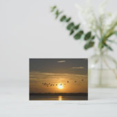 Visions de St Augustine, Floride Carte de visite (Debout devant)