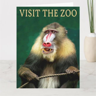 Visit The Mandrill At The Zoo Kaart