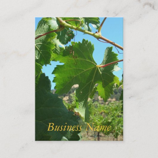 Visite Bus. Carte - Vin de raisin (Devant)