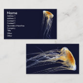 Visite Carte classique - dentelle de dérive (Devant / Derrière)