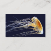 Visite Carte classique - dentelle de dérive (Dos)