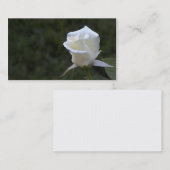 Visite Carte d'affaires ou de profil de rose blanc (Devant / Derrière)