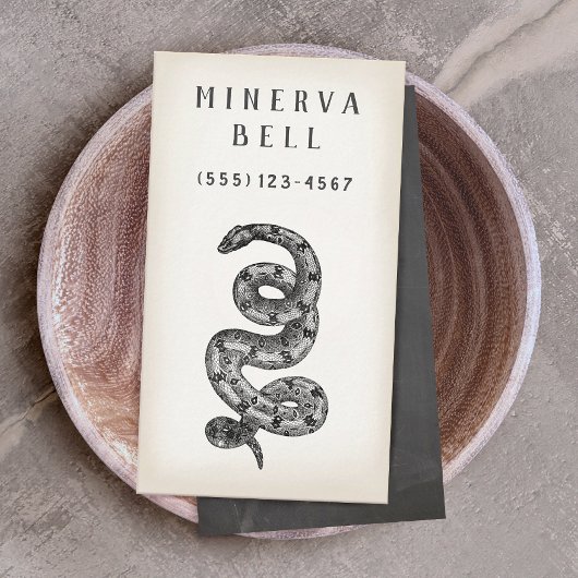 Visite Carte d'appel de réparation de serpent