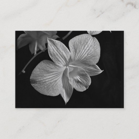 Visite Carte d'ATC de fleur d'orchidée de Dendrobium (Devant)