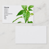 Visite Carte de Bsiness de jardinier (Devant / Derrière)