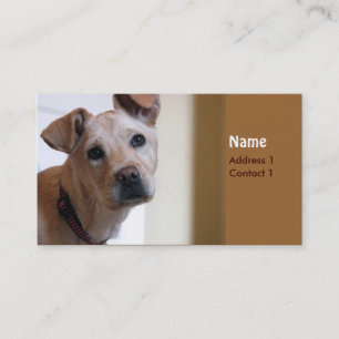 Visite Carte de chien