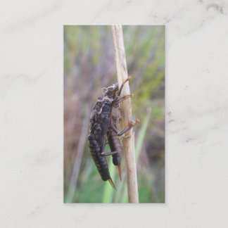 Visite Carte de guide de pêche de mouche