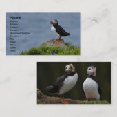 Visite Carte de macareux (Devant / Derrière)