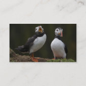 Visite Carte de macareux (Dos)