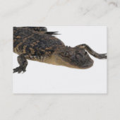 Visite Carte de profil Alligator (Dos)