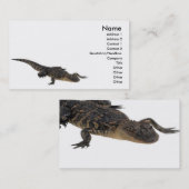 Visite Carte de profil d'alligator (Devant / Derrière)