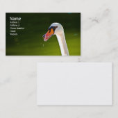 Visite Carte de profil de cygne muet (Devant / Derrière)
