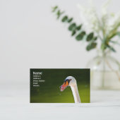 Visite Carte de profil de cygne muet (Debout devant)