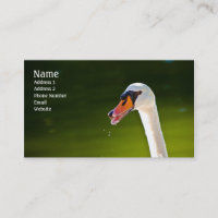 Carte de profil de cygne muet