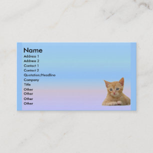 Visite Carte de profil de Dax de chaton
