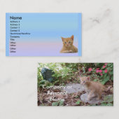 Visite Carte de profil de Dax de chaton (Devant / Derrière)