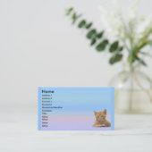 Visite Carte de profil de Dax de chaton (Debout devant)