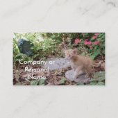 Visite Carte de profil de Dax de chaton (Dos)
