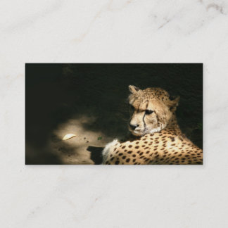 Visite Carte de profil de guépard