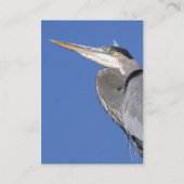 Visite Carte de profil de héron de grand bleu (Dos)