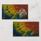 Visite Carte de profil de Natif américain (Devant / Derrière)