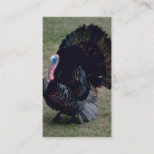 Visite Carte de profil de plaisir Turquie (Dos)