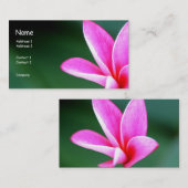 Visite Carte de profil de Plumeria (Devant / Derrière)