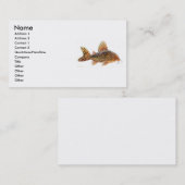 Visite Carte de profil de poisson-chat de Corydoras (Devant / Derrière)