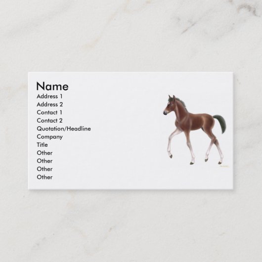 Visite Carte de profil de poulain de trot (Devant)