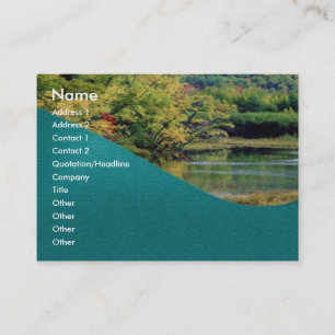 Visite Carte de profil de solde