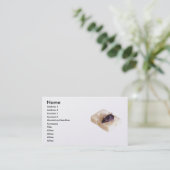 Visite Carte de profil de souris de fromage suisse (Debout devant)