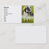 Visite Carte de profil de vache du Holstein (Devant / Derrière)
