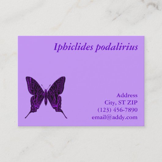 Visite Carte de profil Iphiclides podalirius (Devant)