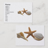 Visite Carte de profil Sea Shells (Devant / Derrière)