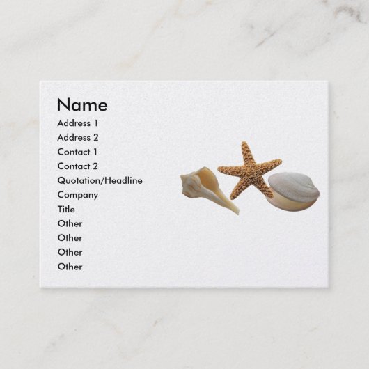 Visite Carte de profil Sea Shells (Devant)