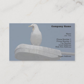 Visite Carte de profil Seagull Yawning