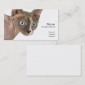 Visite Carte de profil Sphynx Cat (Devant / Derrière)