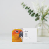Visite Carte de profil - Sun Conure (Debout devant)